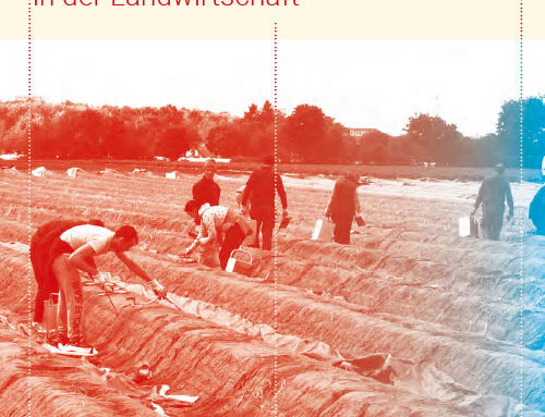 Initiative Faire Landarbeit – Bericht 2020