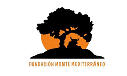 Fundación Monte Mediterráneo